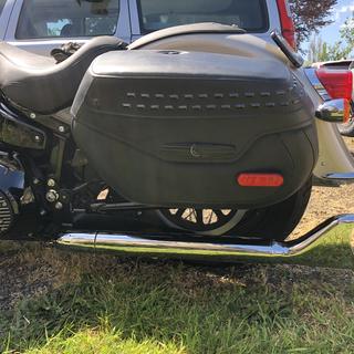 Freedom Performance Chrome 33 in. Sharktail True-Duals Exhaust