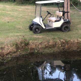 Submitted by Joe C