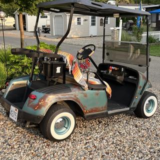 Submitted by Debra R