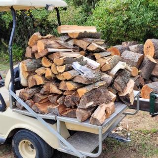 Submitted by Walt H