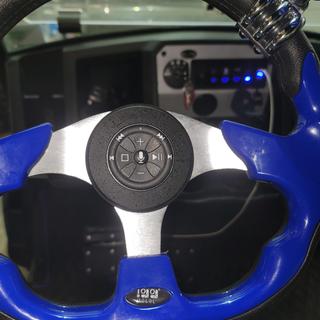 Submitted by david p