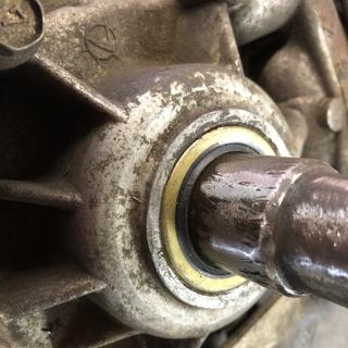Submitted by Mark H