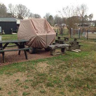 Submitted by Darlene R