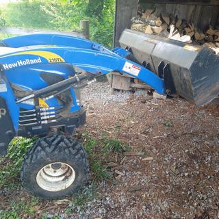 Submitted by Diane H