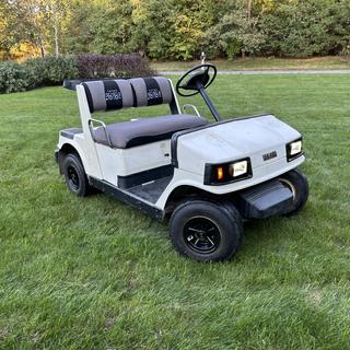 Submitted by Mario Z