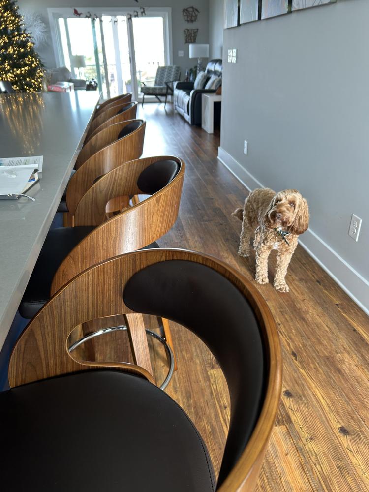 Shelly Bar Stool | Ashley