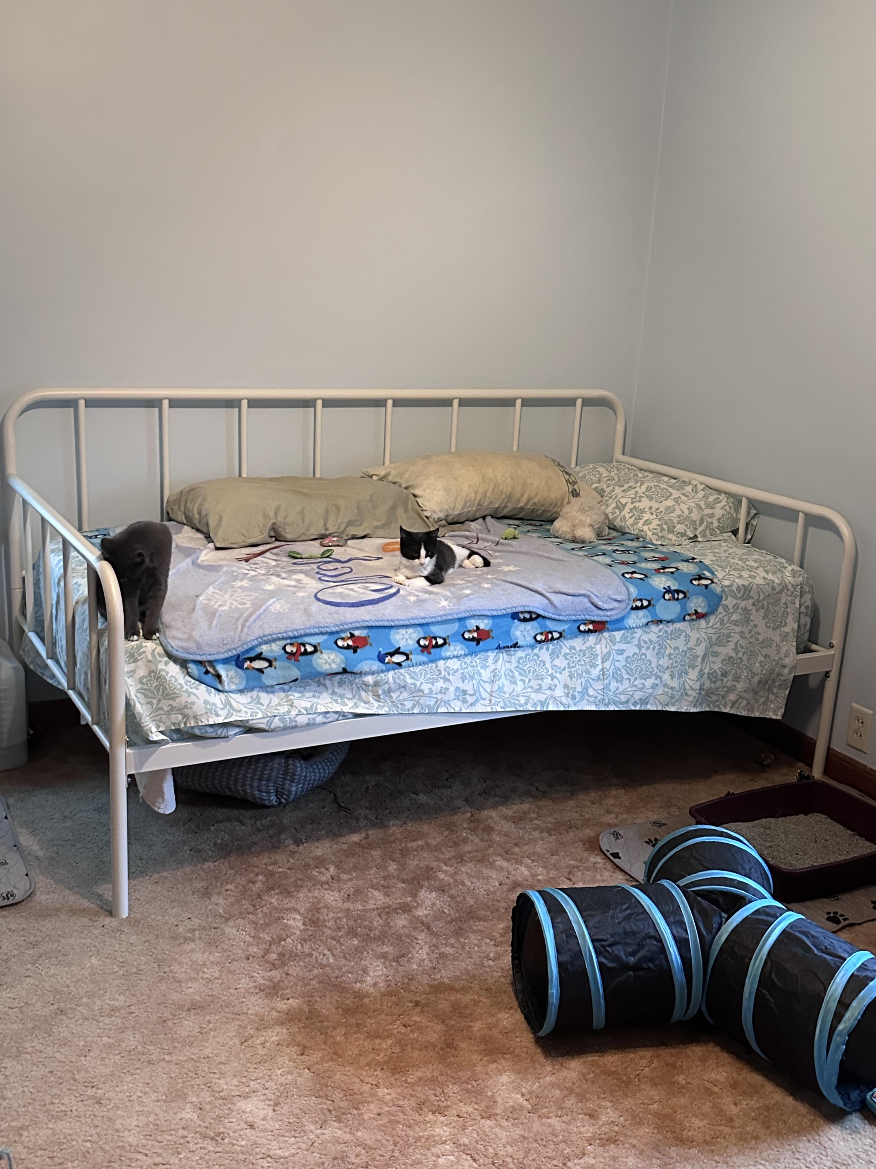 Trentlore Twin Metal Day Bed with Platform | Ashley