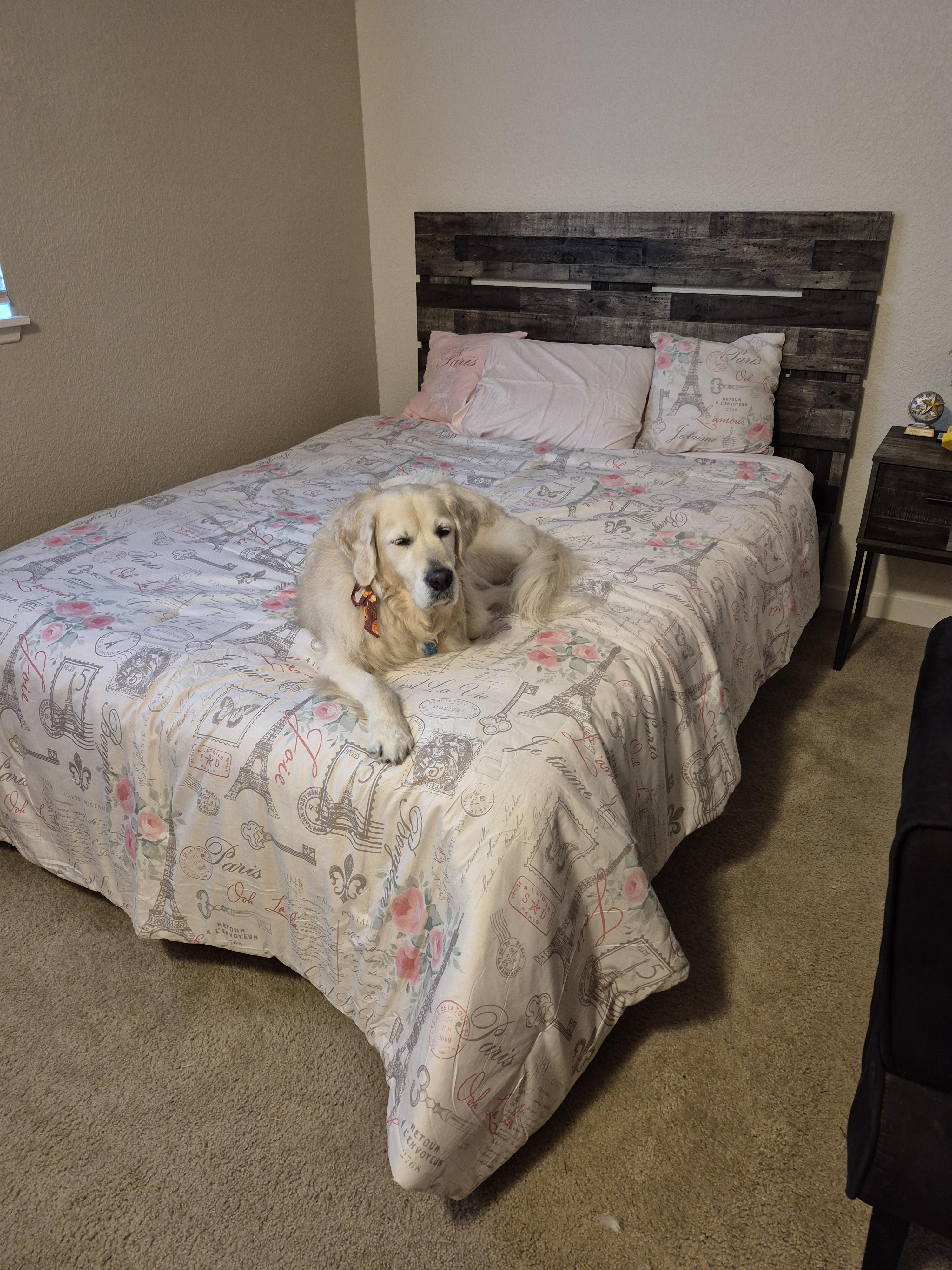 Chime 10 Inch Hybrid Queen Mattress with Foundation | Ashley