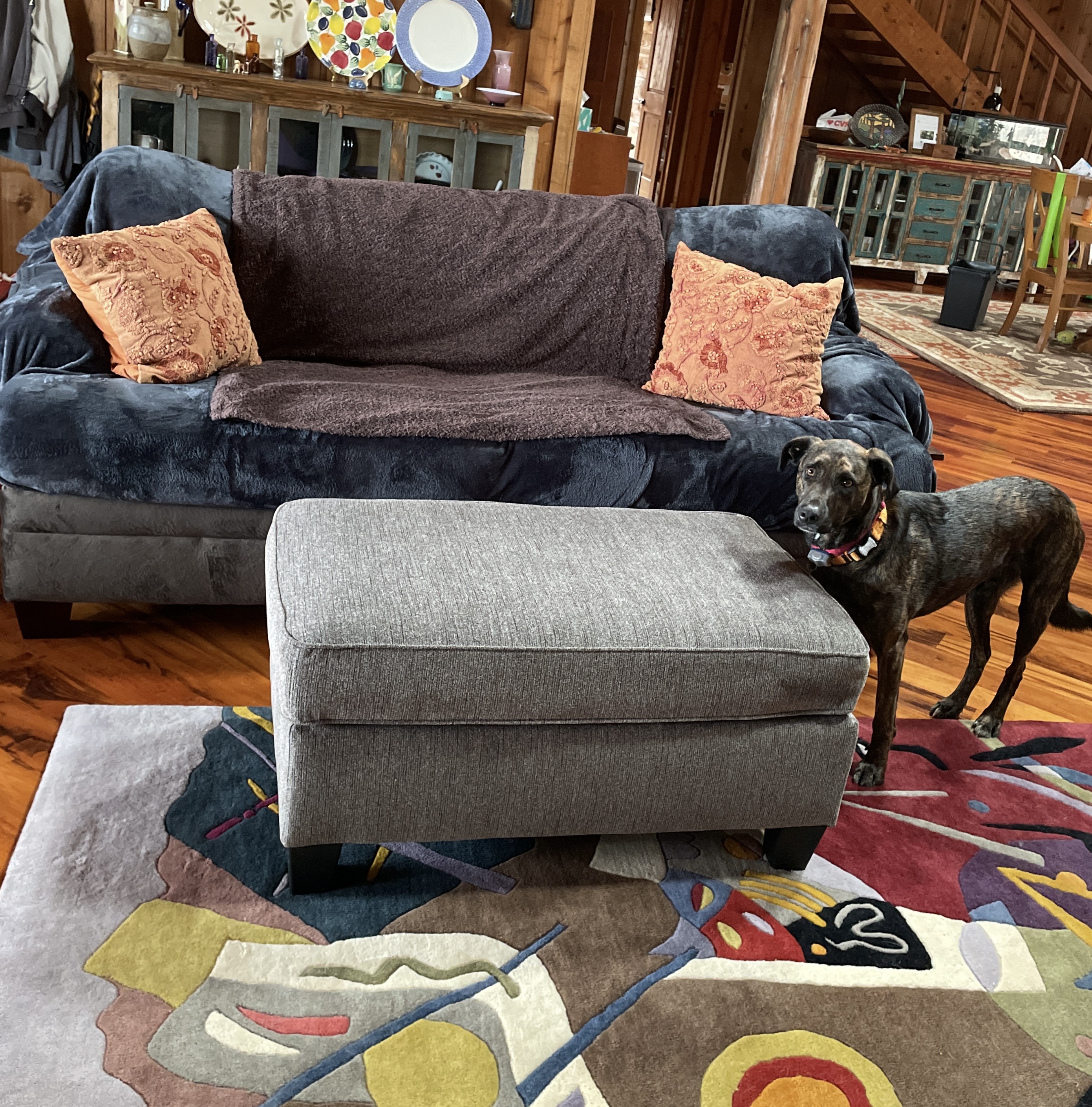 Nemoli Ottoman | Ashley