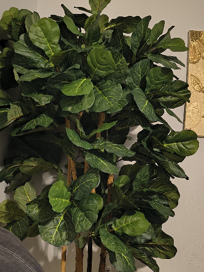 6' Fiddle Leaf Fig Silk Tree | Ashley