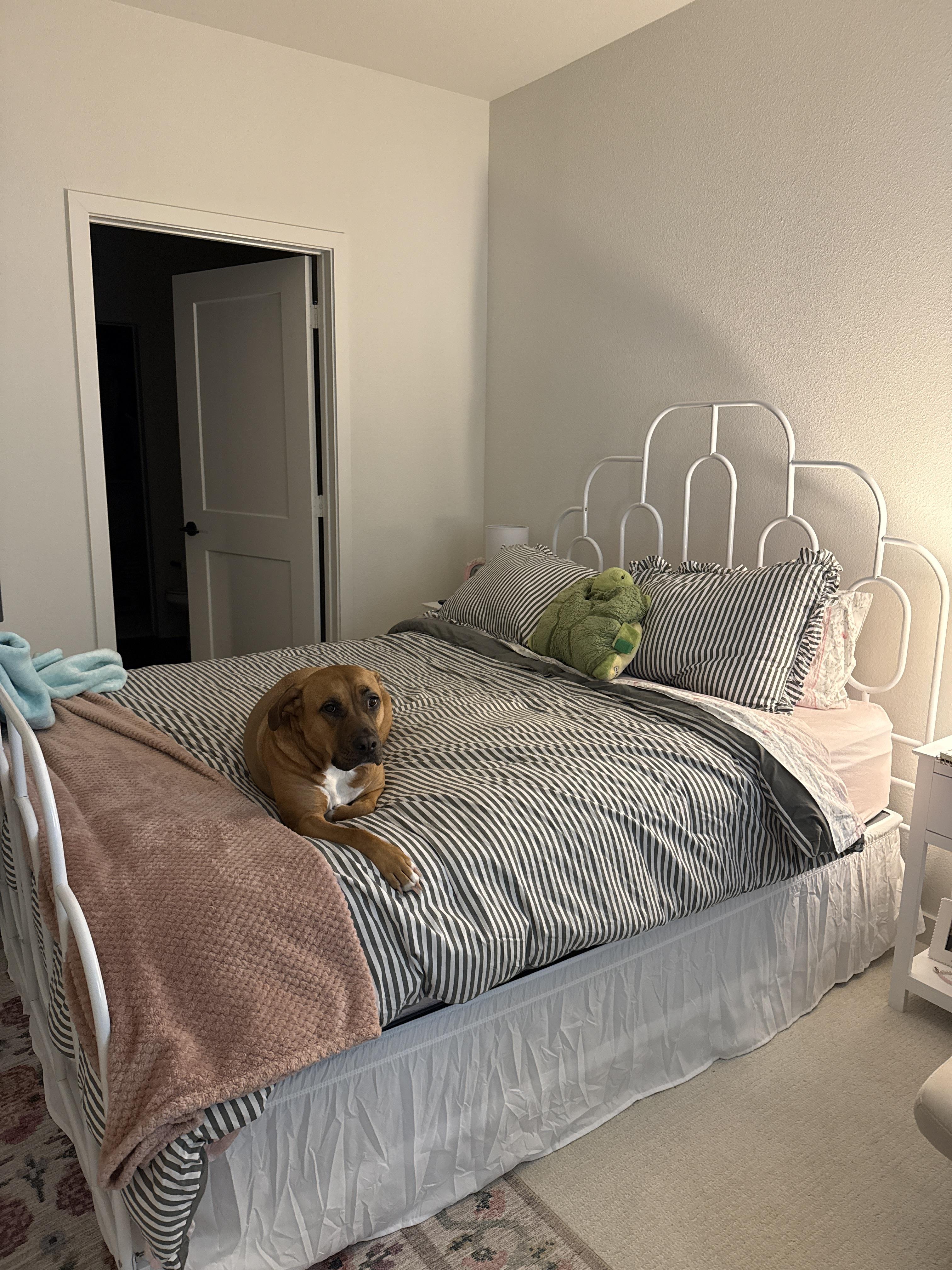 Paloma Queen Metal Retro Bed | Ashley