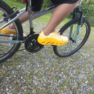 Submitted by Ava Rover GS