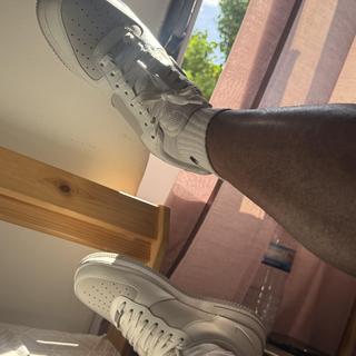 Submitted by Fernando348208975