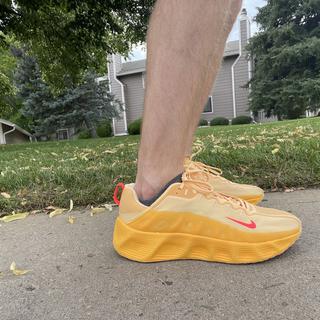 Submitted by Brandon