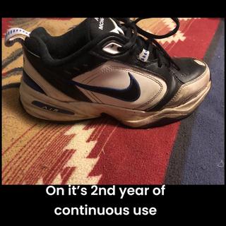Submitted by julieb578726727