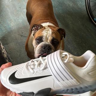 Submitted by JuanEsteban73807315