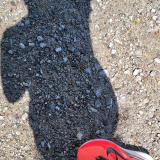 Submitted by Kristin652069051