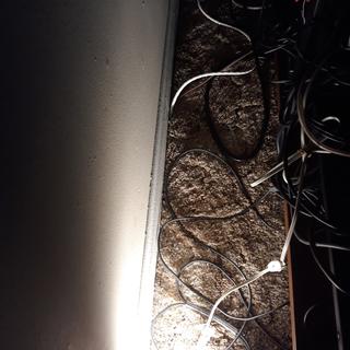 User submitted image