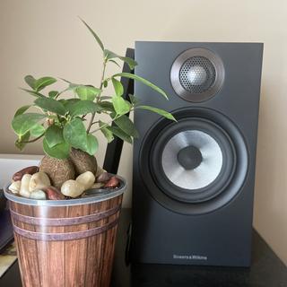 I purchased a a pair of Bower & Wilkins 600 series to compliment.