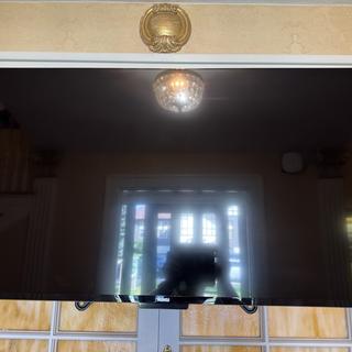 User submitted image