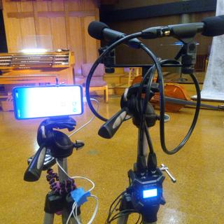 Monoprice Stage Right 3ft XLR cables with Rode M5s and Zoom F3
