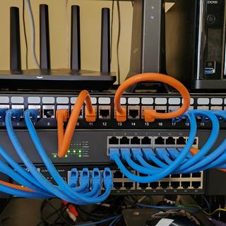 Short cables ideal for use with patch panel.
