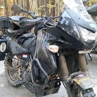 Submitted by curt T