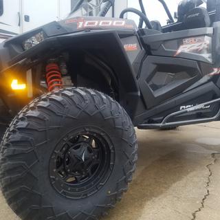 Submitted by Jeff N