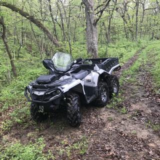 Submitted by Jordan A