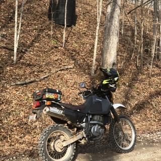 Submitted by Marcus Y