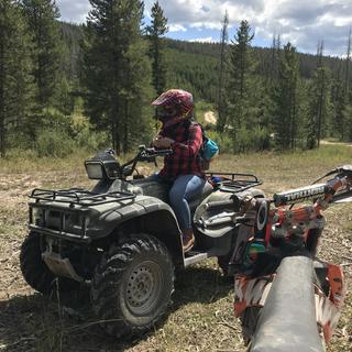 Submitted by Marcel M