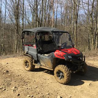 Submitted by SHANE S