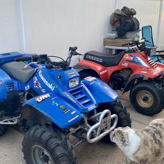 Submitted by Todd J