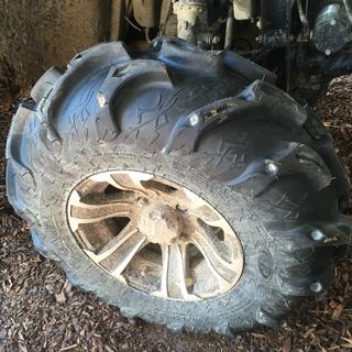Submitted by Mitch D