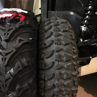 Submitted by Dane N