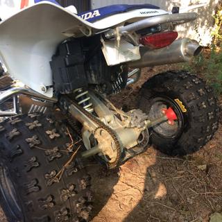 Submitted by Dylan F