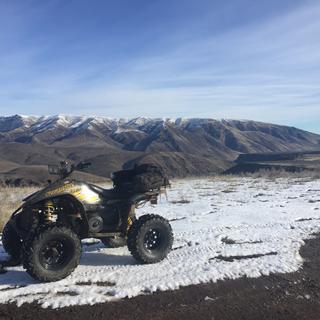Submitted by Daphne F