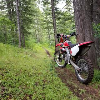 Submitted by Jason B