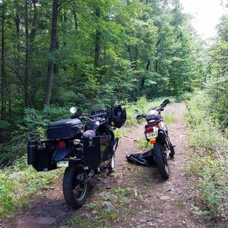 Submitted by Shane S