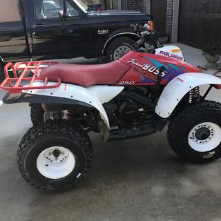 Submitted by Davie C