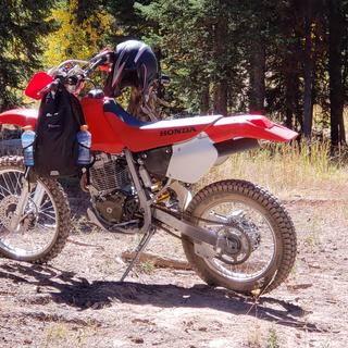 Submitted by Rick T
