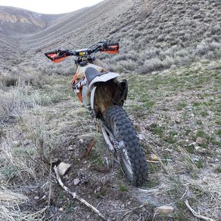 Submitted by RICHARD C