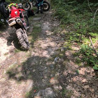 Submitted by Mark S