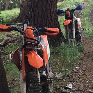 Submitted by Griff D