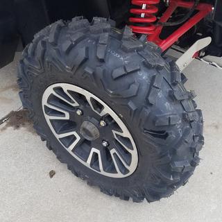 Maxxis Bighorn 2.0 Radial Tire | Tires and Wheels | Rocky Mountain