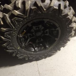 Maxxis Bighorn 2.0 Radial Tire | Tires and Wheels | Rocky Mountain