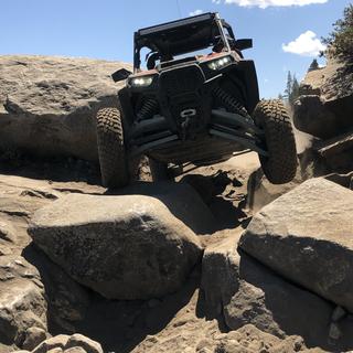 Submitted by Scott P