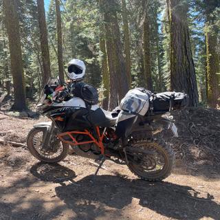 Submitted by David G