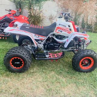 Submitted by Bernardo G
