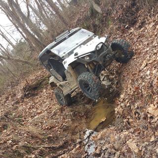 Submitted by Darin M
